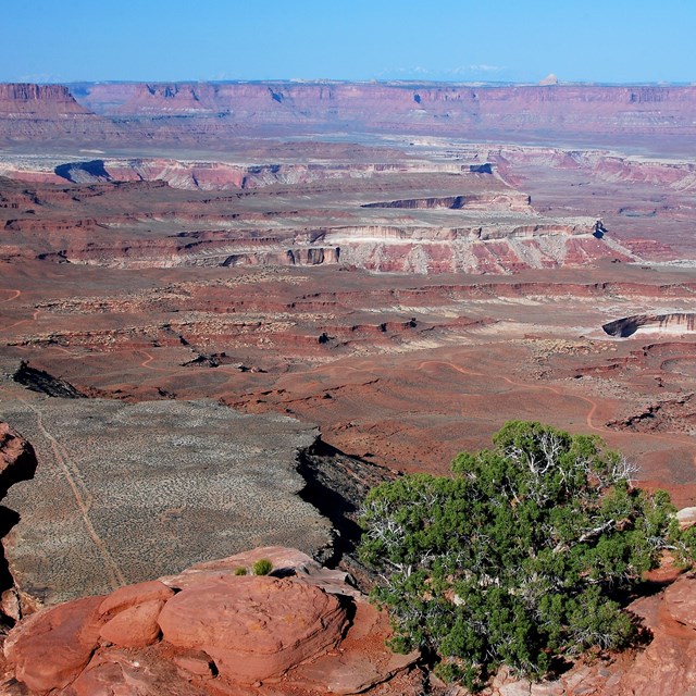 Red rock canyons stretch as far as the eye can see